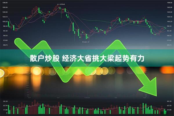 散户炒股 经济大省挑大梁起势有力