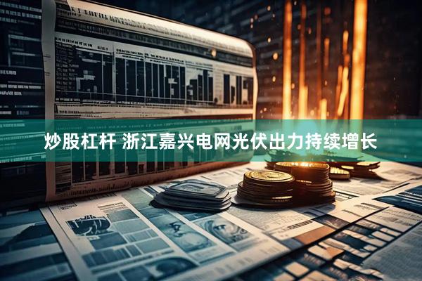 炒股杠杆 浙江嘉兴电网光伏出力持续增长