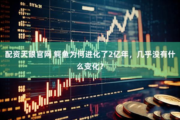 配资天眼官网 鳄鱼为何进化了2亿年，几乎没有什么变化？