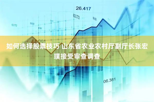 如何选择股票技巧 山东省农业农村厅副厅长张宏璞接受审查调查